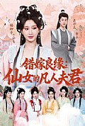 《错嫁良缘:仙女的凡人夫君》封面