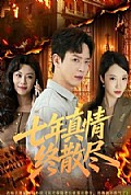 《七年真情终散尽》封面