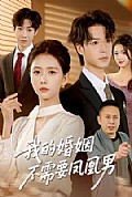 《我的婚姻不需要凤凰男》封面