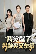 《我觉醒了男频爽文系统》封面