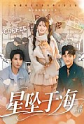 《星坠于海》封面