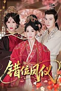 《错位凤仪》封面