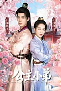 《公主小弟》封面