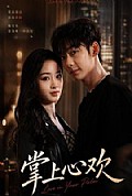《掌上心欢》封面