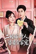 《二婚嫁对人,婆婆全家宠》封面