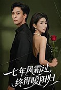 《七年风霜过,终得暖阳归》封面