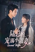 《陆总的宠溺小甜妻》封面
