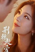 《荆棘赴爱》封面