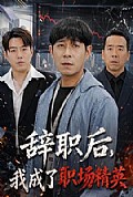 《辞职后,我成了职场精英》封面