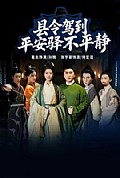 《县令驾到平安驿不平静》封面