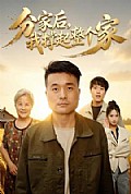 《分家后我撑起整个家》封面