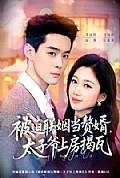 《被迫联姻当赘婿,太子爷上房揭瓦》封面