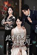 《此生不见陆景川》封面