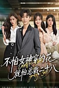 《不怕女神穿的花,就怕总裁二十八》封面