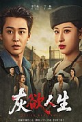《灰欲人生》封面