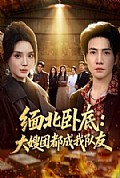 《缅北卧底:大嫂团都成我队友》封面