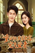 《重回90,发家致富,宠飞爱妻》封面