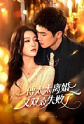 《傅太太离婚又双叒失败了》封面
