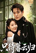 《只待暮云归》封面