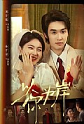 《以你为岸》封面