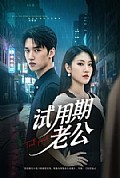 《试用期老公》封面