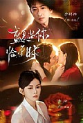 《盛夏遇你恰逢时》封面