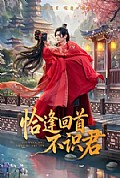 《恰逢回首不识君》封面