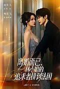 《离婚而已，林小姐的追求者排到法国》封面