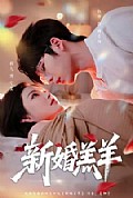 《新婚羔羊》封面