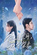 《你追风月,我守柴米》封面