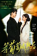 《等葡萄成熟后》封面
