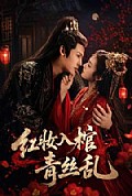 《红妆入棺青丝乱》封面