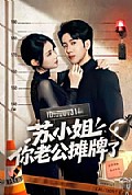 《苏小姐你老公摊牌了》封面