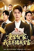 《重生分家:我靠养猪成首富》封面
