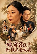 《魂穿80,做极品老太婆第二季》封面