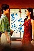 《野火燎原》封面