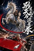 《别惹我的天马流星拳》封面