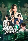 《别惹石王二小姐》封面