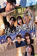 《缘分巧安排》封面