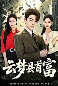 《云梦县首富》封面