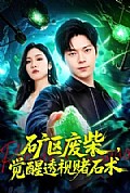 《矿区废柴,觉醒透视赌石术》封面