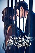 《夜莺落在他囚笼》封面
