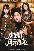 《虎出山:风云再起》封面
