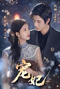 《宠妃》封面