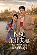 《1980东北夫妻致富录》封面