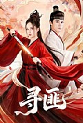 《寻匪》封面