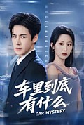 《车里到底有什么》封面