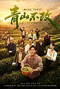 《青山不改》封面