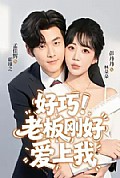 《好巧!老板刚好爱上我》封面