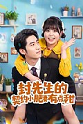 《封先生的契约小肥妻有点甜》封面